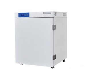 博科电热恒温培养箱DHP-9256B（有观察门）