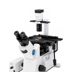 OLYMPUS IX51研究级倒置显微镜