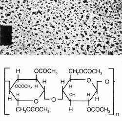 11107-047 N德国Sartorius醋酸纤维素（CA）膜片