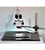 XTL-3400ST视频体视显微镜