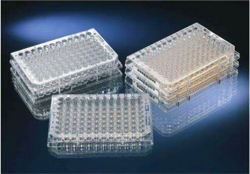 Nunc 96孔细胞培养板167008 -F96 MicroWell™ 微孔板