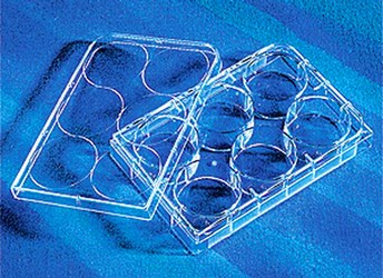 Corning 96孔板 平底 超低吸附表面 PS材质 带盖 灭菌 单个包装 3474