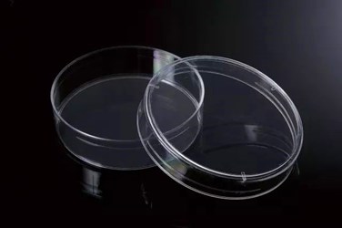 Petri 培养皿 – PS材质