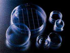 BD 培养皿 353802/353803