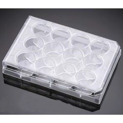 BD Falcon 6孔 细胞培养板353846Primaria,平底,带盖