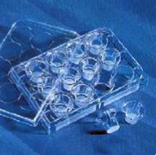 康宁Corning Transwell细胞培养小室（12孔板用）