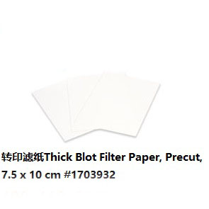 转印滤纸7.5X10cm