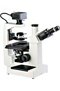 TSI-1000倒置生物显微镜