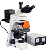 XSP-12CⅢ正置荧光显微镜