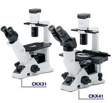 奥林巴斯倒置荧光显微镜