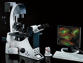 Leica徕卡研究级倒置生物显微镜DMI6000 B