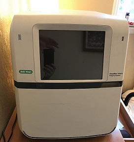 美国伯乐ChemiDoc™ Touch化学发光成像系统