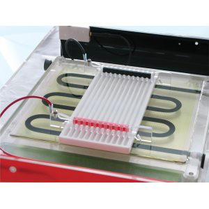 英国Cleaver)蛋白质双向电泳系统等电聚焦与第二维电泳-CSL-IEF-KIT-MAXIPLUS