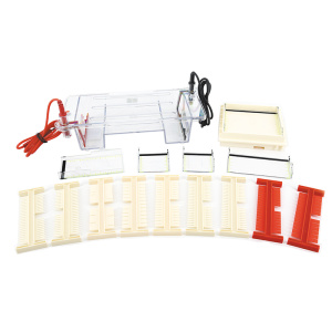 北京六一DYCP-31DN型琼脂糖水平电泳仪(小号)DNA电泳槽