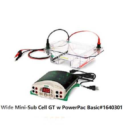 宽式水平电泳槽及电源