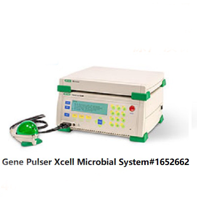电穿孔仪微生物系统