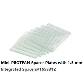 垂直电泳厚玻璃板