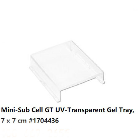 水平电泳槽凝胶托盘