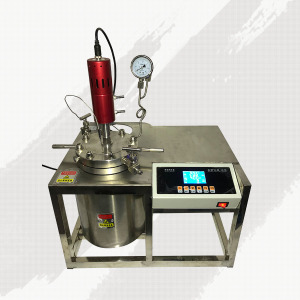 正信仪器-机械搅拌高压反应釜