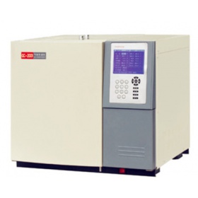 滕海GC-6890型气相色谱仪