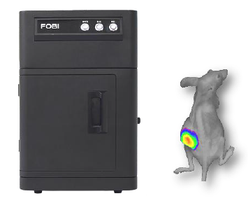 FOBI小动物荧光活体成像系统