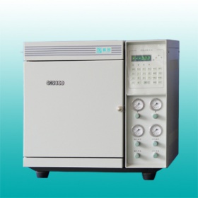 天然气分析专用气相色谱仪（GC9800型网络化）