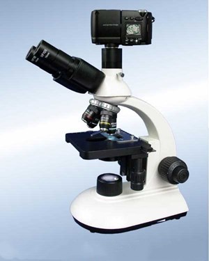 B204TR三目生物显微镜