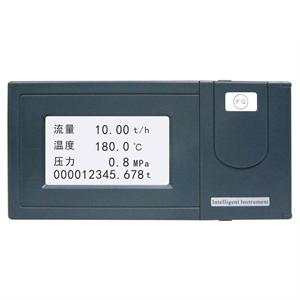 流量积算仪（FX1000）