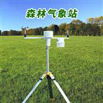 森林自动气象站@今日报道