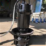 南京ZQB潜水轴流泵