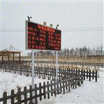 景区负氧离子监测仪器