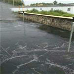 SBJ5.5/11-D碳钢深水曝气搅拌两用机