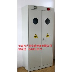 长春实验室全钢结构实验柜，气瓶柜价格
