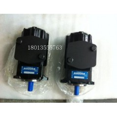 丹尼逊DENISON液压泵价格T6C-008-2L02-B1