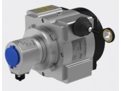 德国FSG传感器WD620-02/E24-G110