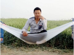 深圳昌龙兴优质大棚膜，农用地膜，PE农膜