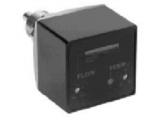 德国豪斯派克EFKP(T)型热式流量开关