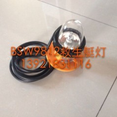 BSW9812救生艇频闪示位灯(12V13W)