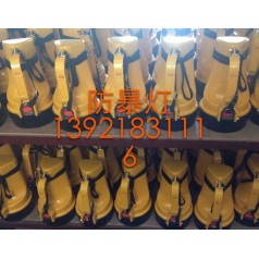 dF-6船用防爆手电灯 CCS安全灯