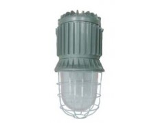 上海宝临厂家直销BAD82 体式防爆灯250W400W