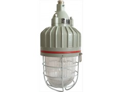 上海宝临BAD1101防爆防腐 体灯高压钠灯金卤灯