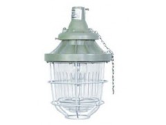 上海宝临BAD56系列防爆防腐灯汞灯钠灯金卤灯