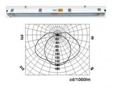 上海宝临BAY81 BAY82-Q防爆防腐全塑荧光灯LED