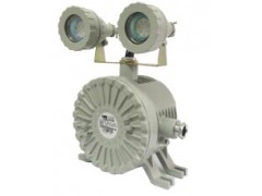 上海宝临BAJ52系列防爆应急灯 应急照明