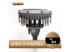 江苏新黎明 BZD285B-AC LED防爆灯防爆