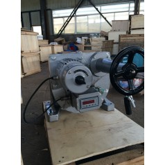 电子式角行程SKJ-610M电动装置