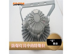 江苏新黎明BZD282 LED防爆灯吊杆灯支架灯吊灯