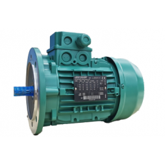 Elektra 乐华森玛电机B5系列