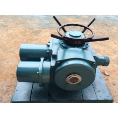 DZW10-24-A00-DS1电动装置