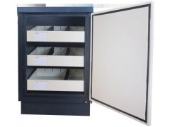 山东 青岛 东营 枣庄洪森小型防磁安全信息柜价格